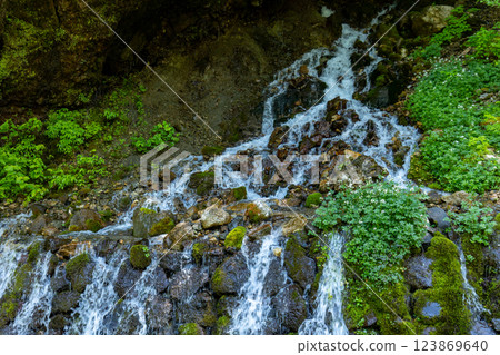 【長野縣】白骨溫泉：龍神瀑布溪中盛開的白花 123869640