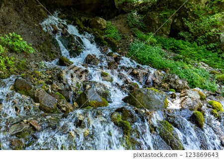 [Nagano Prefecture] Shirahone Onsen: Ryujin Falls and white flowers blooming in the stream 123869643