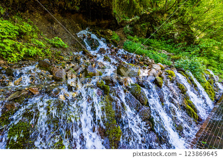 【長野縣】白骨溫泉:龍神瀑布溪中盛開的白花 【長野縣】白骨溫泉:龍神瀑布溪中盛開的白花 123869645