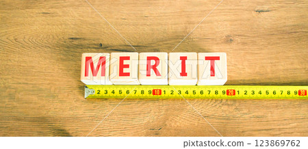 Merit symbol. Concept word Merit on beautiful wooden blocks. Beautiful wooden table wooden background. Beautiful yellow ruler. Business lifestyle merit concept. Copy space. Merit symbol. Concept word Merit on beautiful wooden blocks. Beautiful wooden table wooden background. Beautiful yellow ruler. Business lifestyle merit concept. Copy space. 123869762