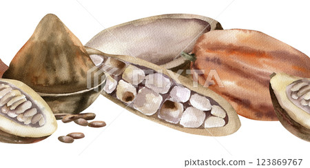 Cocoa beans and powder watercolor seamless border. Hand drawn banner with brown cocoa pod,fresh and dried beans illustration for product packing, textile,fabric design Cocoa beans and powder watercolor seamless border. Hand drawn banner with brown cocoa pod,fresh and dried beans illustration for product packing, textile,fabric design 123869767