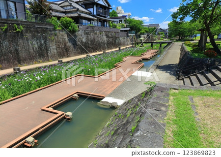 [Kumamoto Prefecture] Irises at Takaseura River Waterfront Park on a sunny day 123869823