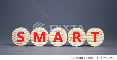 Smart symbol. Concept word Smart on beautiful wooden circles. Beautiful grey table grey background. Business lifestyle smart concept. Copy space. 123869862