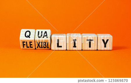Quality or flexibility symbol. Concept words Quality Flexibility on wooden cubes. Beautiful orange table orange background. Business and quality or flexibility concept. Copy space. 123869870