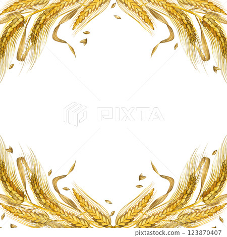 Square frame of ripe wheat ears, leaves and wheat grains. All objects are hand-drawn with yellow watercolor. Watercolor illustration. Suitable for food packaging design, bakeries. 123870407
