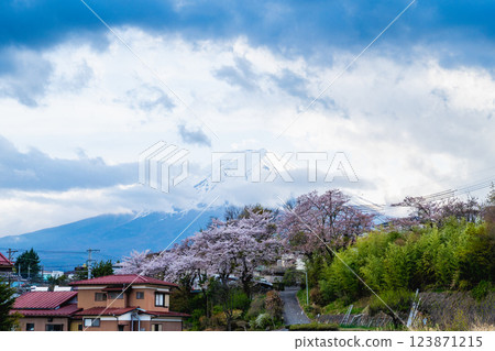 Fujiyoshida, Yamanashi Prefecture, Japan April 17, 2024 Cherry blossoms are in full bloom in spring, with Mt. Fuji in the background. Landmark Wa Netsumon Travel Scenery Fujiyoshida, Yamanashi Prefecture, Japan April 17, 2024 Cherry blossoms are in full bloom in spring, with Mt. Fuji in the background. Landmark Wa Netsumon Travel Scenery 123871215