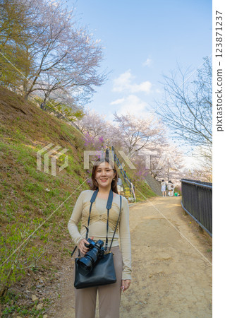 Fujiyoshida, Yamanashi Prefecture, Japan April 17, 2024: Mt. Fuji Japanese cherry blossoms in Arakurayama Asama Park. 123871237