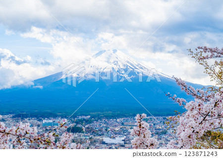 日本山梨縣富士吉田 - 2024 年 4 月：春天櫻花盛開，背景是富士山。地標和熱門旅遊景點。 123871243