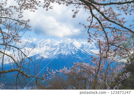 日本山梨縣富士吉田 - 2024 年 4 月：春天櫻花盛開，背景是富士山。地標和熱門旅遊景點。 123871247