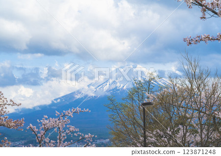 Fujiyoshida, Yamanashi Prefecture, Japan - April 2024: Cherry blossoms are in full bloom in spring, with Mt. Fuji in the background. Landmark Wa Netsumon Travel Scenic Point. Fujiyoshida, Yamanashi Prefecture, Japan - April 2024: Cherry blossoms are in full bloom in spring, with Mt. Fuji in the background. Landmark Wa Netsumon Travel Scenic Point. 123871248