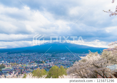 日本山梨縣富士吉田，2024 年：春天櫻花盛開，背景是富士山。地標和熱門旅遊景點。 123871296