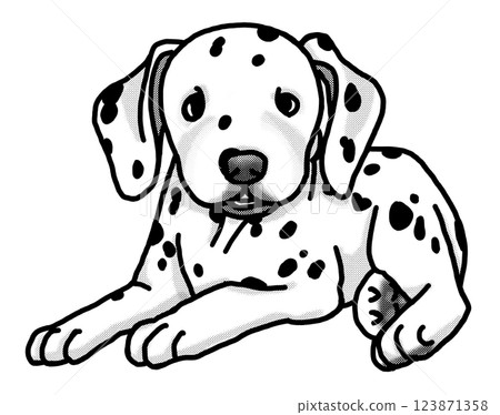 Dalmatian puppy black and white transparent background 123871358