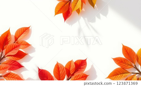 picture, background, design, vase, plant, frame, table, style, white, furniture, room, interior, house, wall, modern, decor, decoration, floor, home, art, contemporary, concept, living, indoor, scandi 123871369