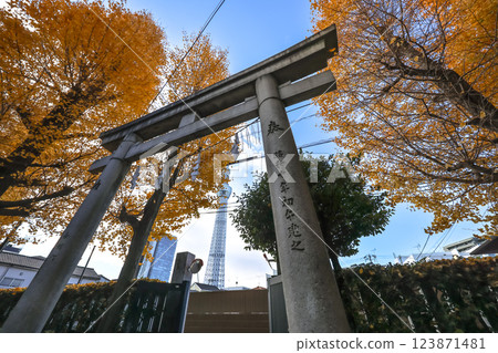 Traditional Japanese Shrine Gate with Autumn Foliage, Tokyo Dec 8 2024 Traditional Japanese Shrine Gate with Autumn Foliage, Tokyo Dec 8 2024 123871481