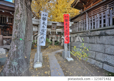 Autumn Scene at Traditional Japanese Shinto Shrine, Tokyo Dec 8 2024 Autumn Scene at Traditional Japanese Shinto Shrine, Tokyo Dec 8 2024 123871482