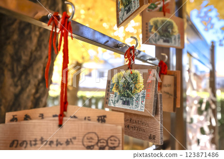 Wooden Wishing Plaques Displayed at a Japanese Temple, Tokyo Dec 8 2024 123871486