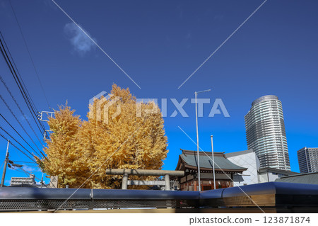 Dec 8 2024 Golden Ginkgo Tree and Modern Architectural Structures, Tokyo Dec 8 2024 Golden Ginkgo Tree and Modern Architectural Structures, Tokyo 123871874