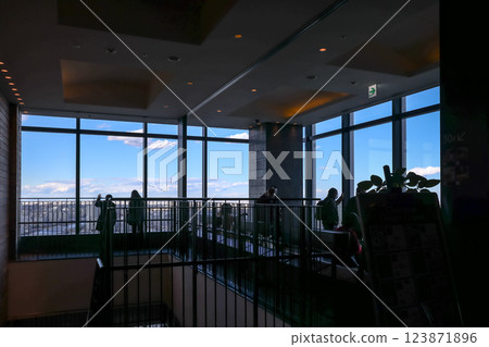Observatory Overlooking Cityscape With Visitors and Bright, Tokyo Dec 8 2024 123871896