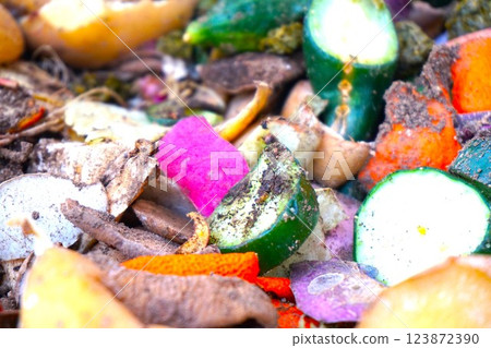 Compost Vegetable waste Food waste Compost Decomposition Compost Vegetable waste Food waste Compost Decomposition 123872390