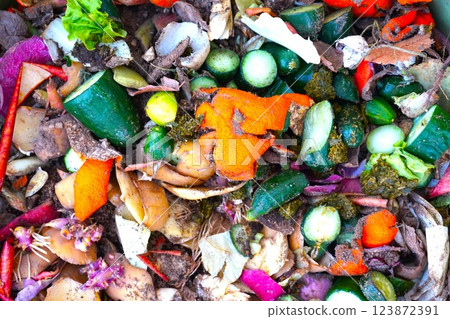 堆肥 蔬菜垃圾 食物垃圾 堆肥 分解 123872391