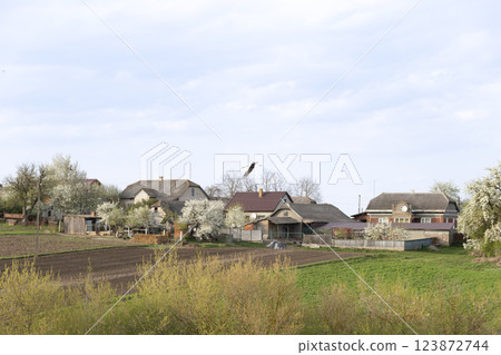 Stork Flying Over Rural Village 123872744