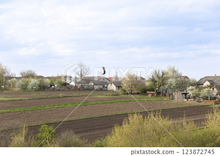 Stork Flying Over Rural Village 123872745