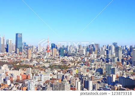 Minato-ku, Tokyo, Tokyo cityscape and Tokyo Tower scenery 123873318