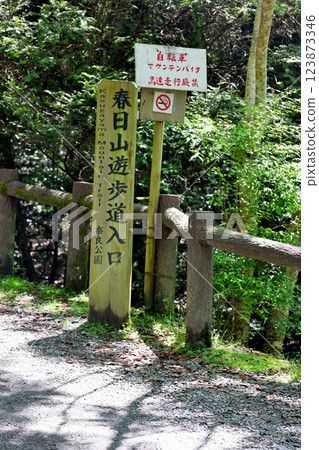 Information board at the entrance to the Kasugayama promenade near Kasuga Taisha Shrine 123873346