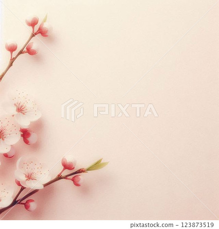 Cherry blossom illustration background 18 Cherry blossom illustration background 18 123873519