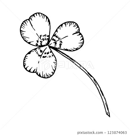 Three leaf clover. Leaves on a stem. Symbol of St. Patrick's Day. Hand drawn in ink black and white illustration. Perfect for floral arrangements, Irish designs, herbal projects, good luck charms 123874063