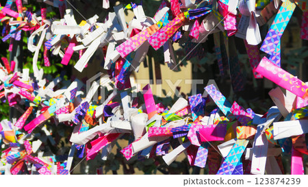 A view of the fortune slip collection area at Akagi Shrine (Kagurazaka, Shinjuku Ward, Tokyo) A view of the fortune slip collection area at Akagi Shrine (Kagurazaka, Shinjuku Ward, Tokyo) 123874239