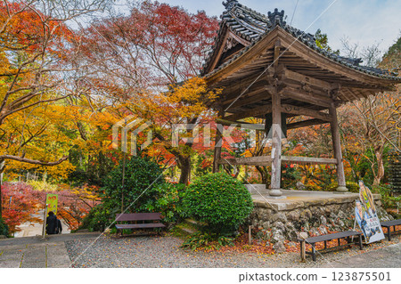 Scenery of Daidoin Temple surrounded by autumn leaves in Morimachi (Shizuoka Prefecture) 123875501