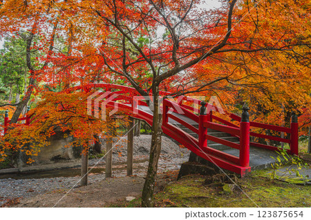 森町大同院秋葉間的紅橋（靜岡縣） 123875654