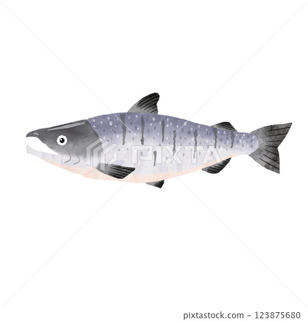 salmon  salmon  123875680