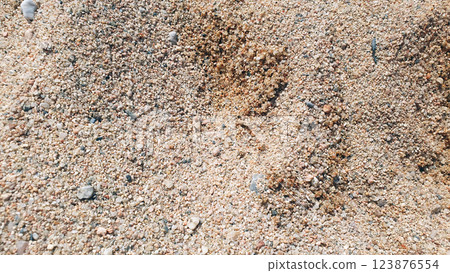 Much little stones on the sand near the water. Sea beach. Nature background. Much little stones on the sand near the water. Sea beach. Nature background. 123876554