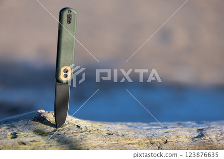 Folding knife securely embedded in a wooden log under natural light Folding knife securely embedded in a wooden log under natural light 123876635