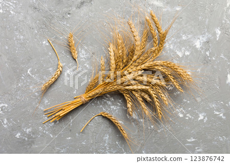Sheaf of wheat ears close up and seeds on colored background. Natural cereal plant, harvest time concept. Top view, flat lay. world wheat crisis Sheaf of wheat ears close up and seeds on colored background. Natural cereal plant, harvest time concept. Top view, flat lay. world wheat crisis 123876742