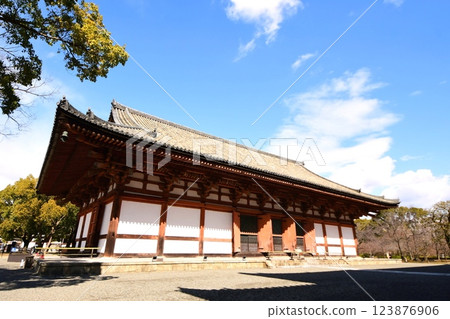 京都府，東寺講堂（重要文化財產），京都市南區九條町，2022 年 2 月 123876906