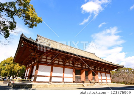 京都府，東寺講堂（重要文化財產），京都市南區九條町，2022 年 2 月 123876909