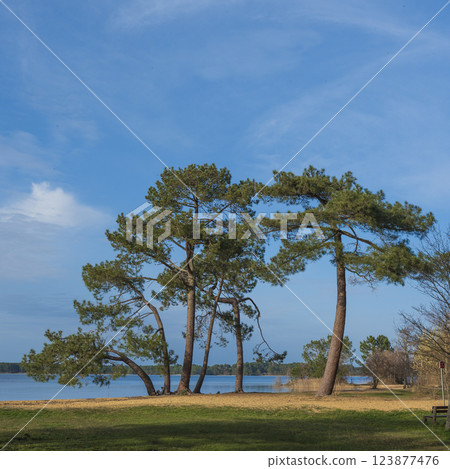 Nature scene at Pin et Plage in Lac Sanguinet, Gironde, France showcasing tranquil waters and trees 123877476