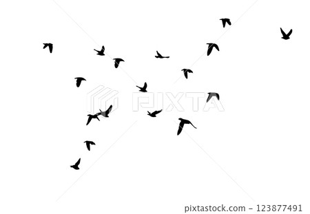 Flying birds silhouette flock. hand drawing. Not AI. Vector illustration Flying birds silhouette flock. hand drawing. Not AI. Vector illustration 123877491