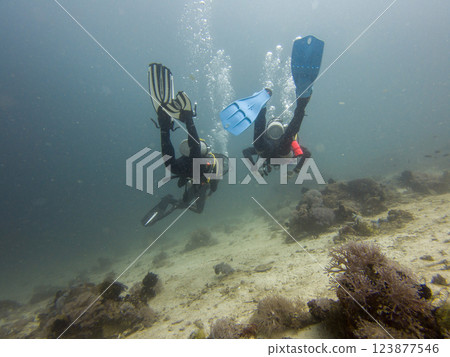 Scuba divers underwater, diver in blue water, and in a beautiful marine environment Scuba divers underwater, diver in blue water, and in a beautiful marine environment 123877546