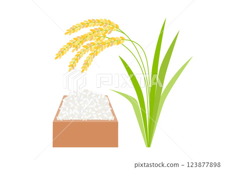 Illustration of rice in a masu and ears of rice 123877898
