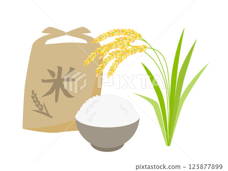 Illustration of rice, white rice and rice 123877899