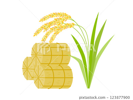 Illustration of rice bales and rice Illustration of rice bales and rice 123877900