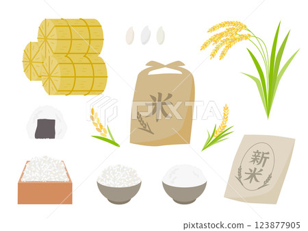 米、白米和米飯插圖集 123877905