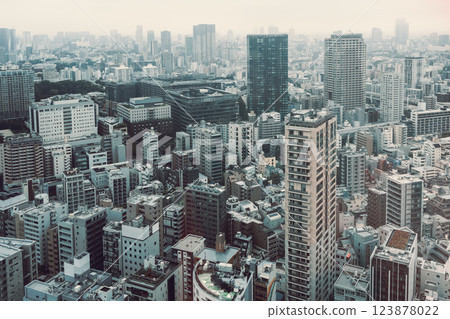 The sprawling cityscape of Tokyo stretches into the distance with layered buildings and muted tones 123878022