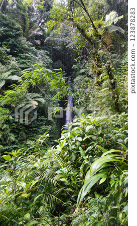 Waterfall landscape. Beautiful hidden Leke Leke waterfall in Bali. Tropical scenery. Waterfall in tropical rainforest. 123878283