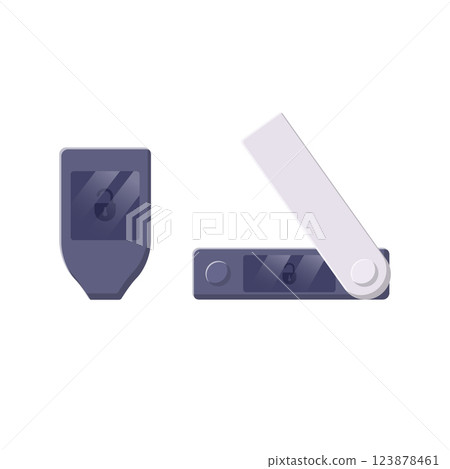 Crypto Hardware Wallet Flat Illustration. Clean Icon Design Element on Isolated White Background Crypto Hardware Wallet Flat Illustration. Clean Icon Design Element on Isolated White Background 123878461