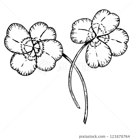 Hand drawn monochrome clip art of two four leaf clovers with stems. Perfect for botanical projects, natural cosmetics packaging, St. Patrick s Day, Irish designs, good luck charms Hand drawn monochrome clip art of two four leaf clovers with stems. Perfect for botanical projects, natural cosmetics packaging, St. Patrick s Day, Irish designs, good luck charms 123878764